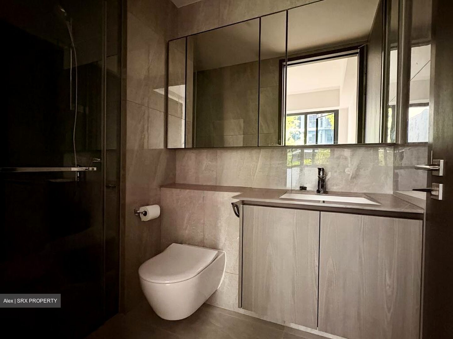 Piccadilly Grand (D8), Apartment #495824921